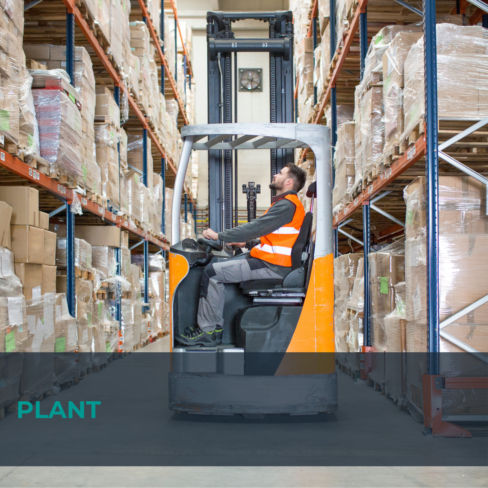 Plant img